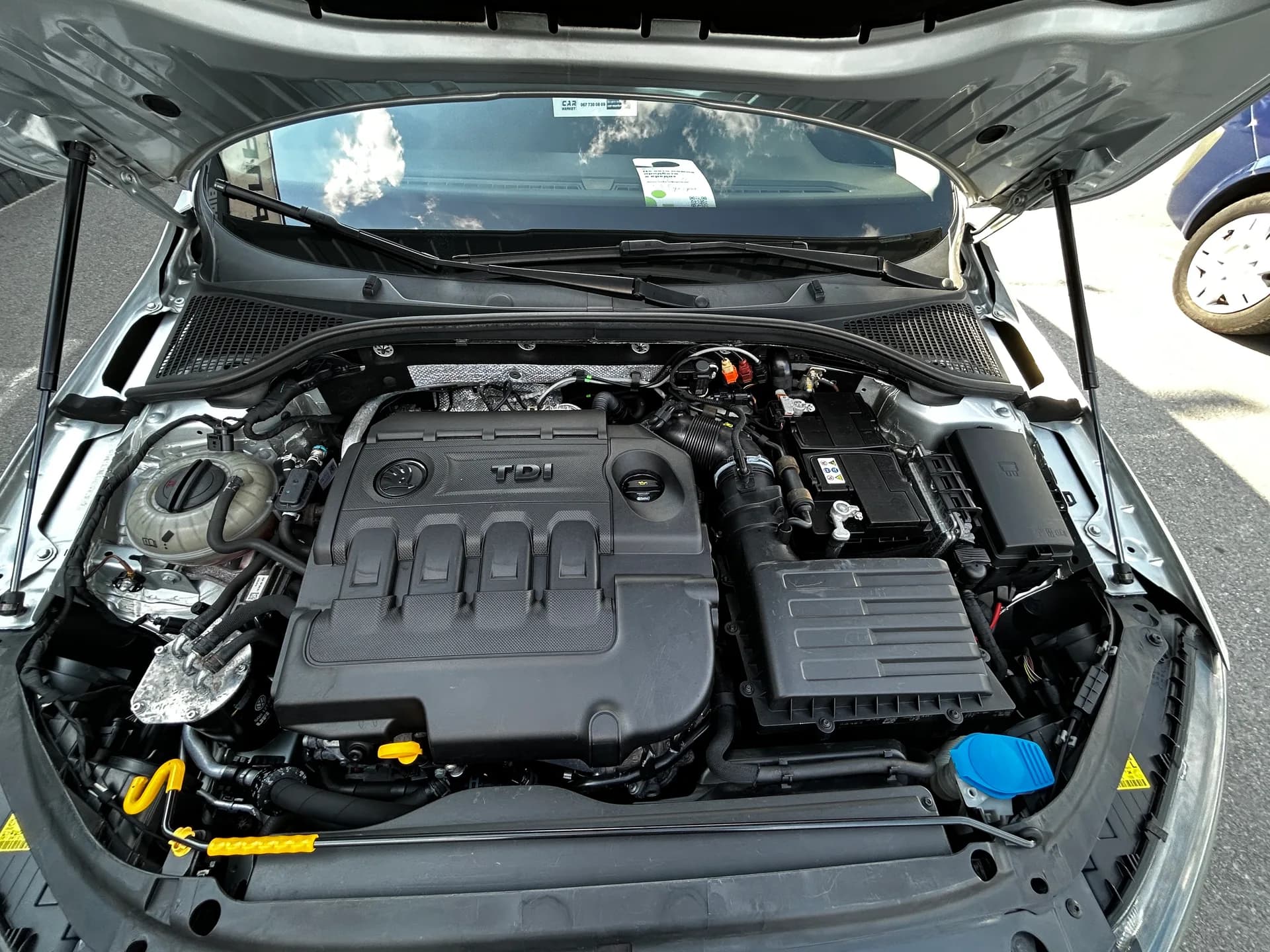 Skoda Octavia Scout — фото 9