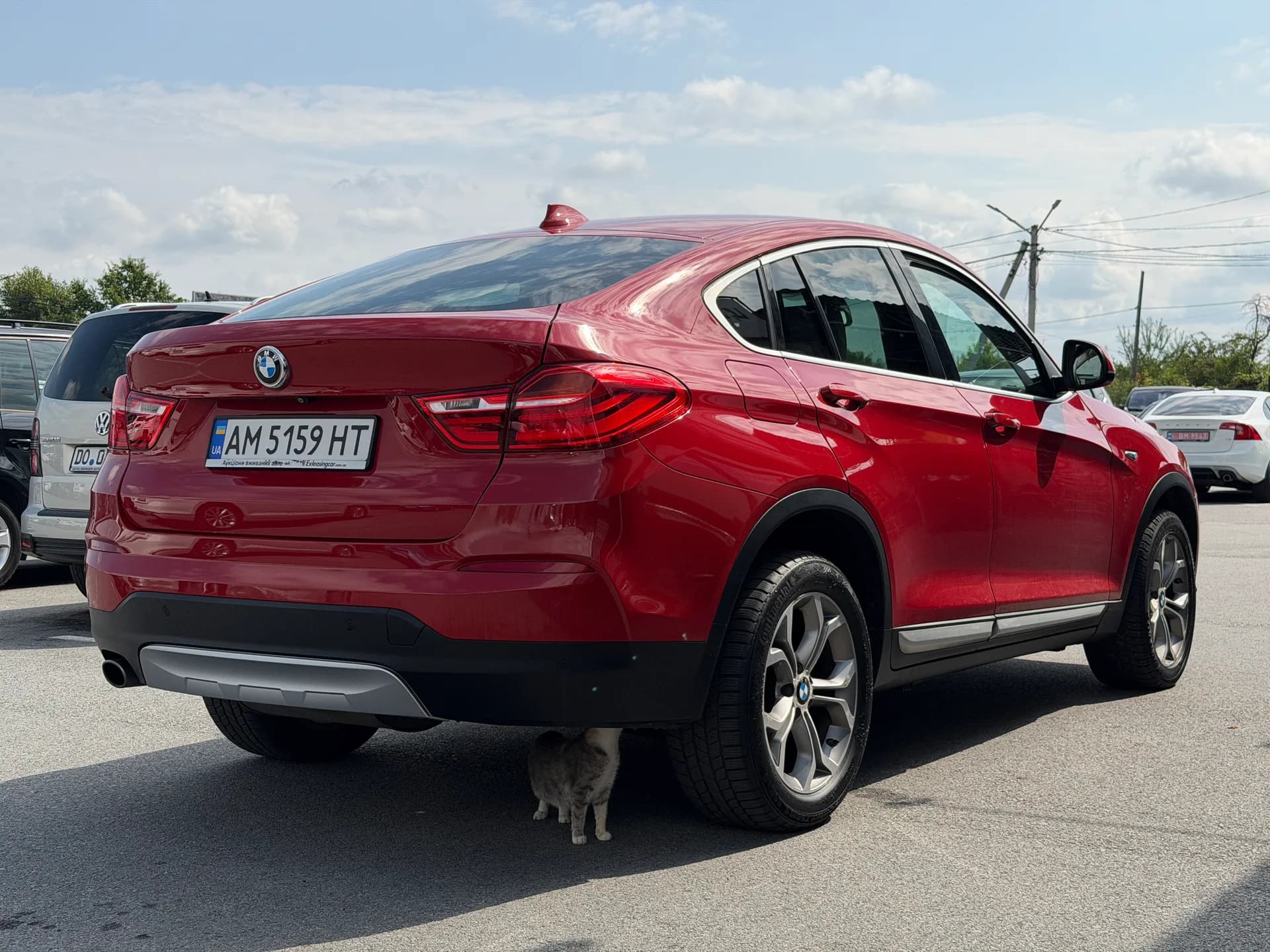 BMW X4 — фото 3