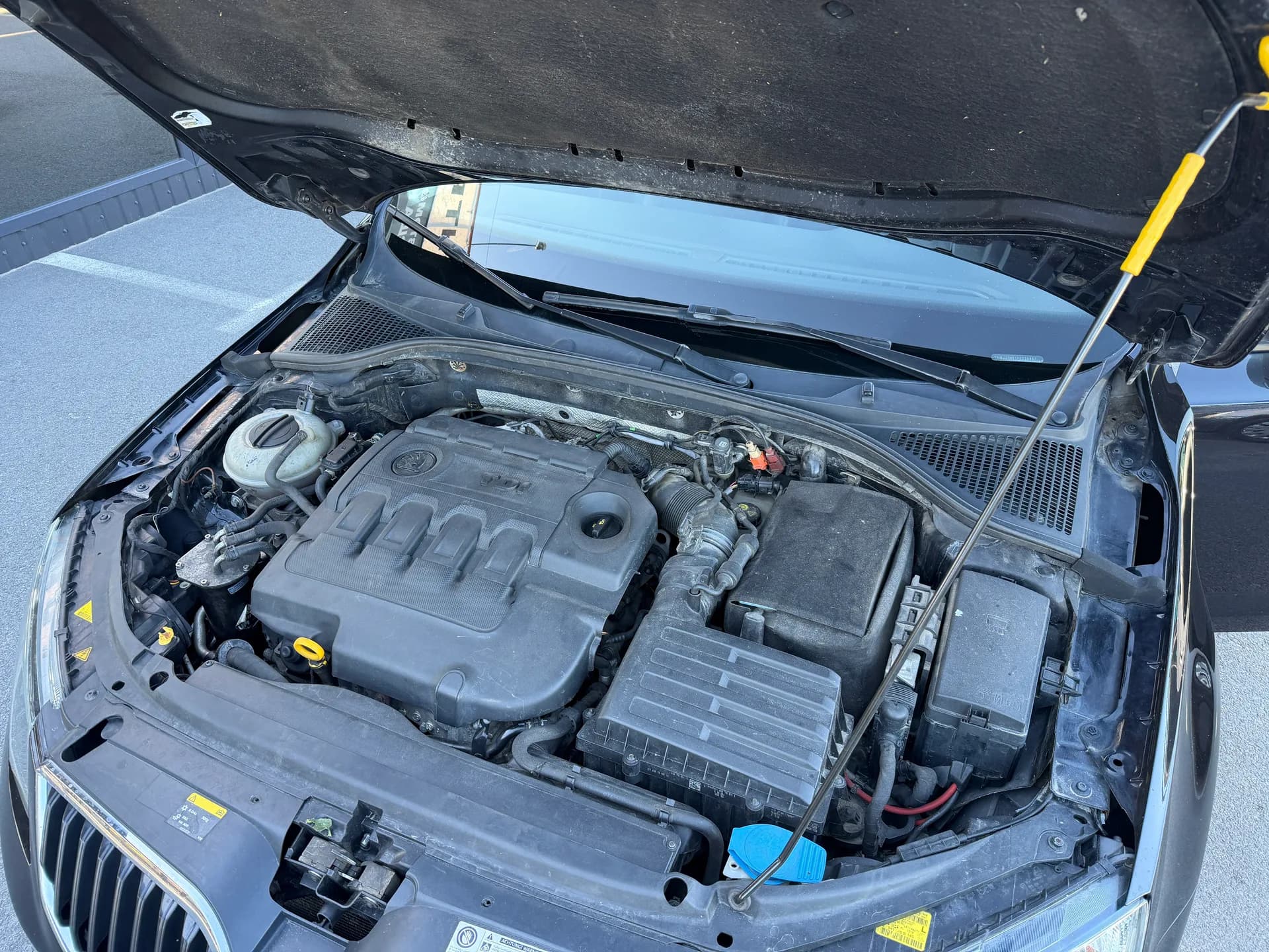 Skoda Octavia — фото 9