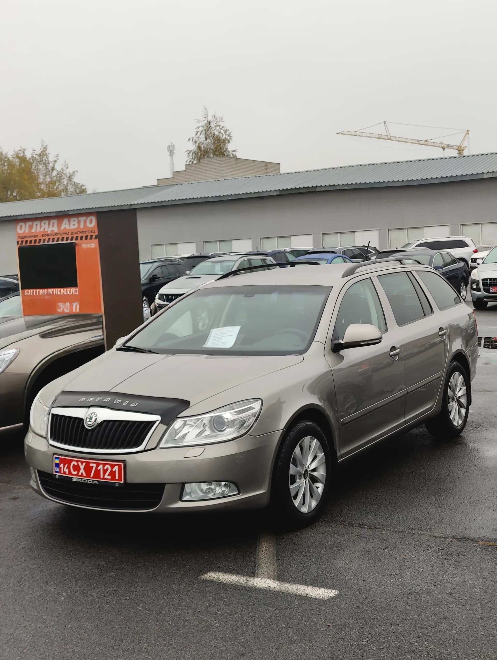 Skoda Octavia — фото 1