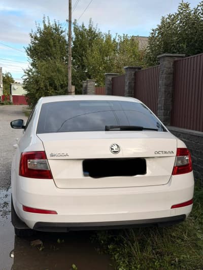 Skoda Octavia — фото 2