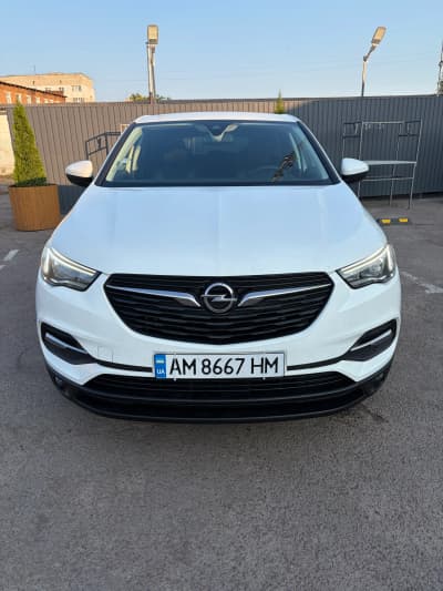 Opel Grandland X — фото 1