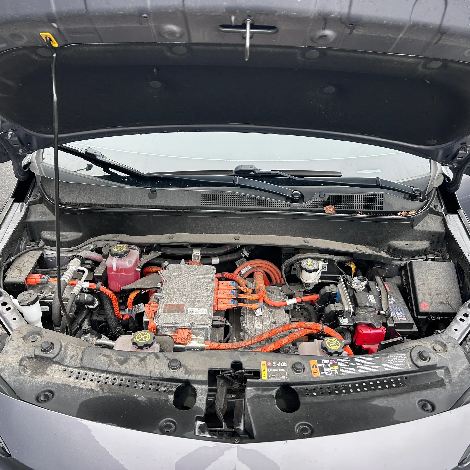 Chevrolet Bolt EUV — фото 9