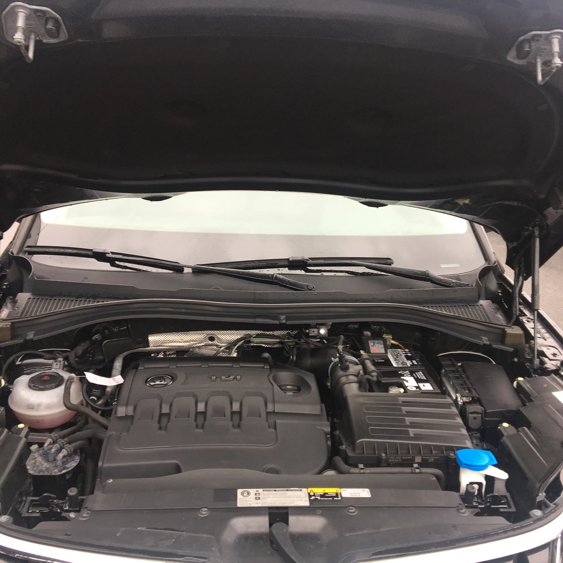 Skoda Kodiaq — фото 9