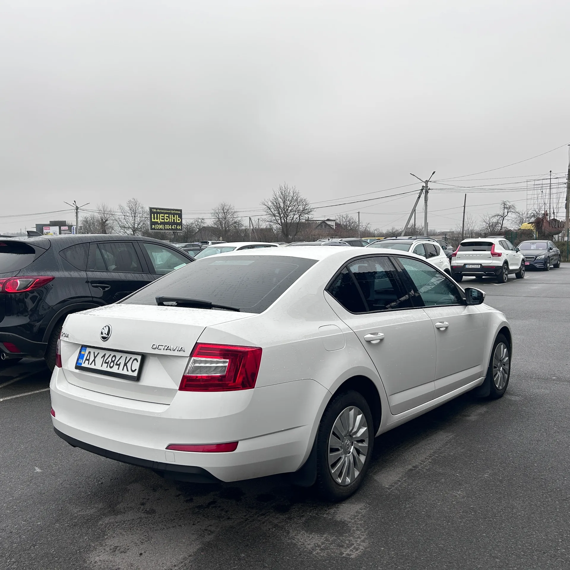 Skoda Octavia — фото 3
