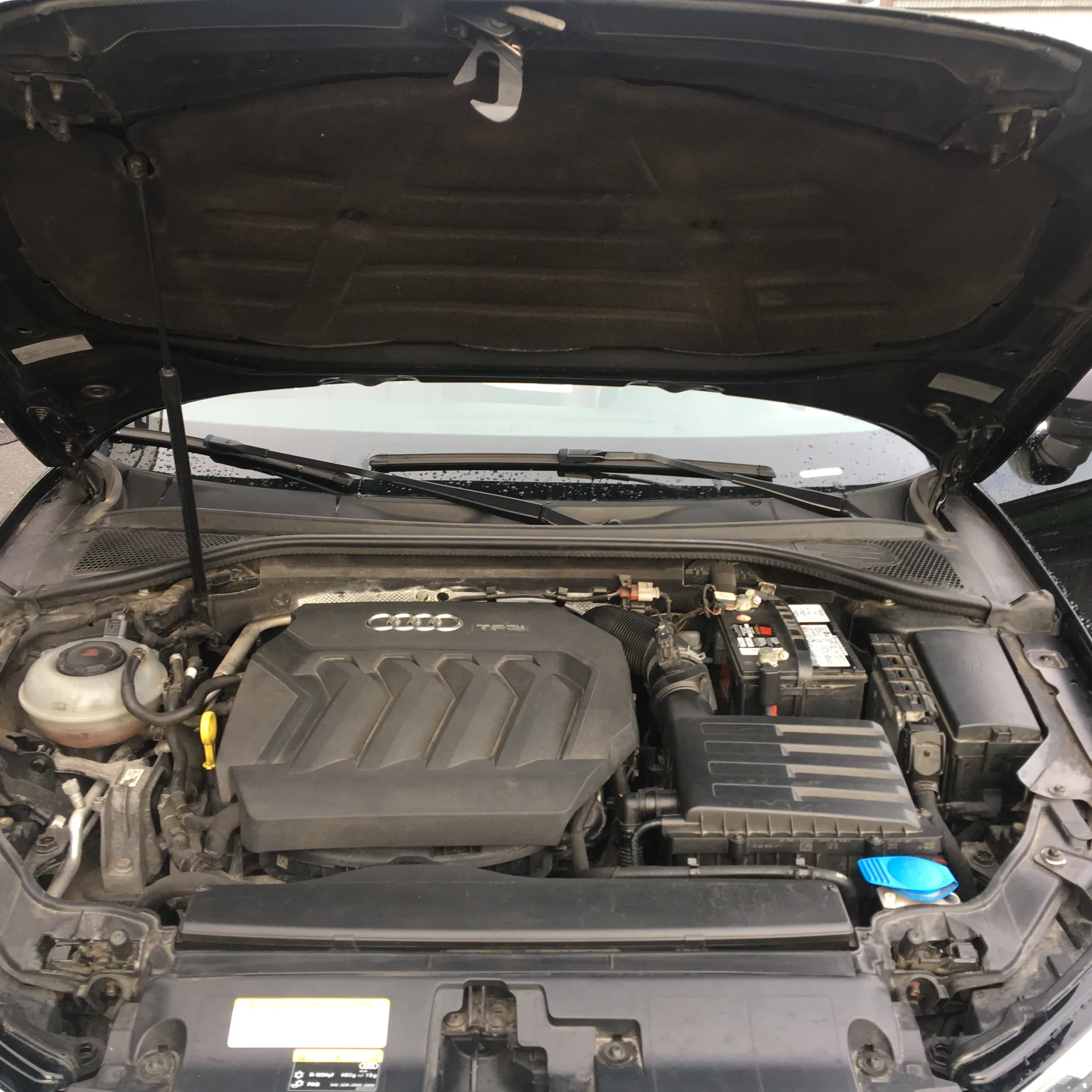 Audi A3 — фото 10