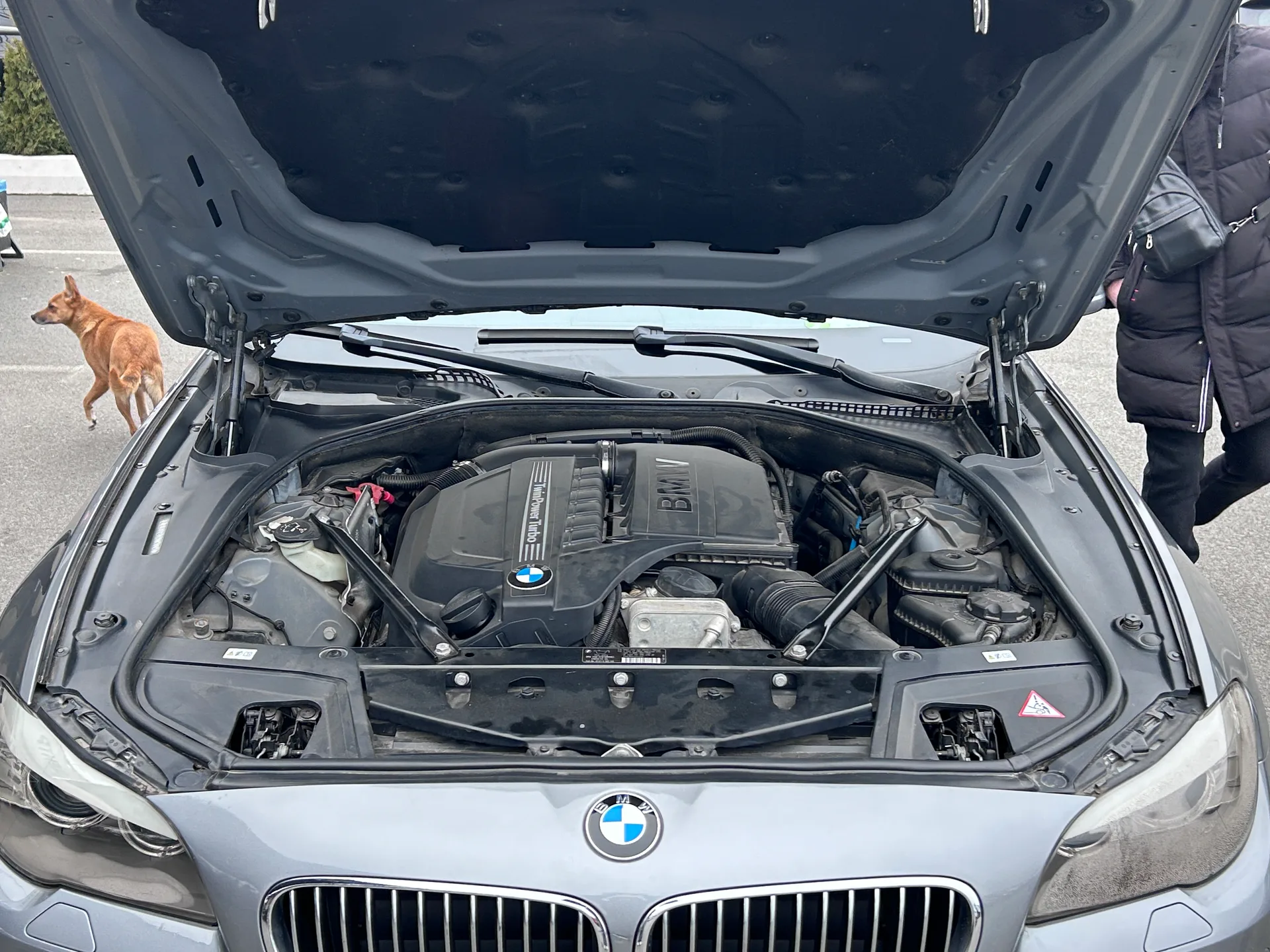 BMW 5 Series — фото 11