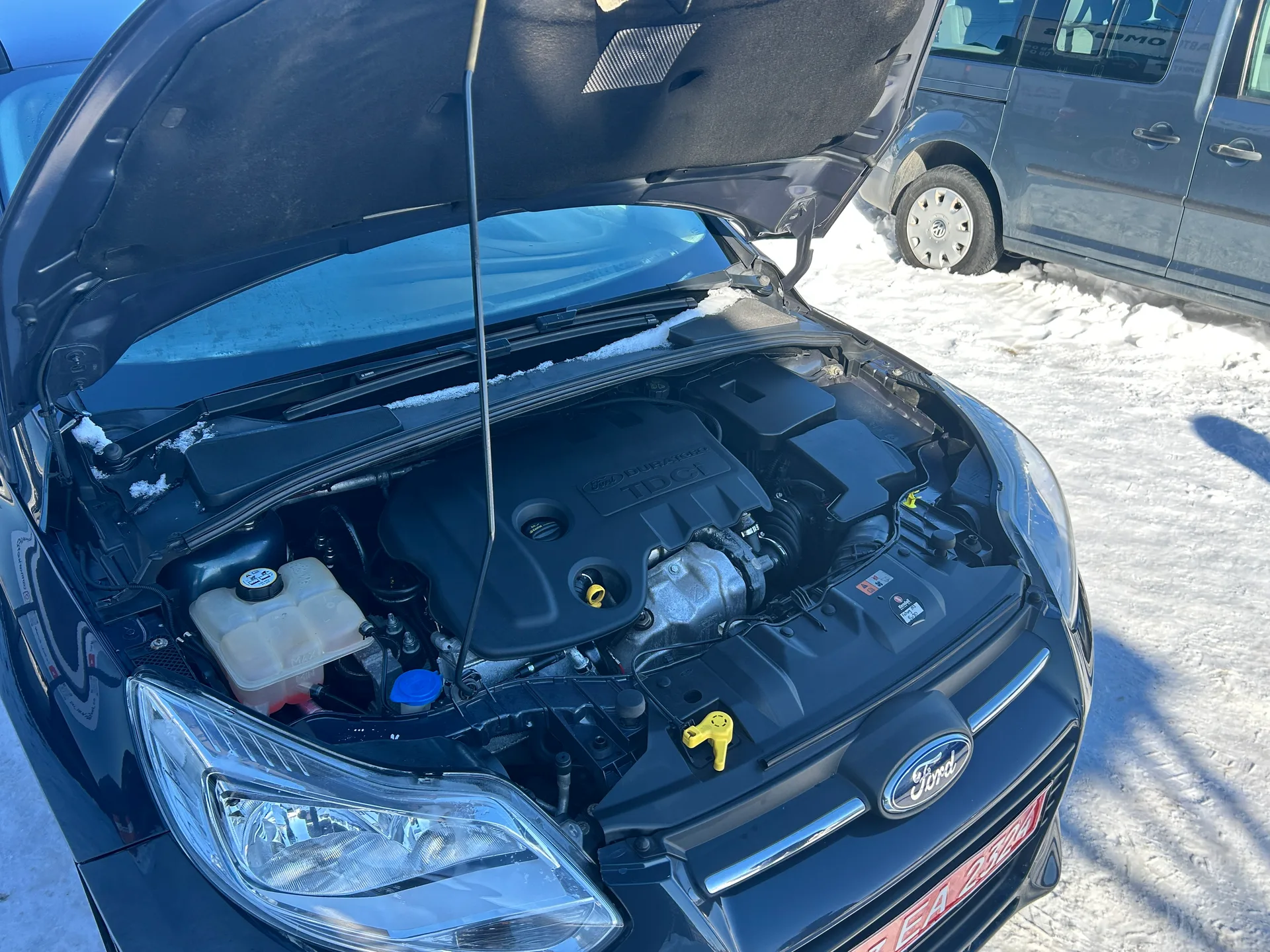 Ford Focus — фото 8