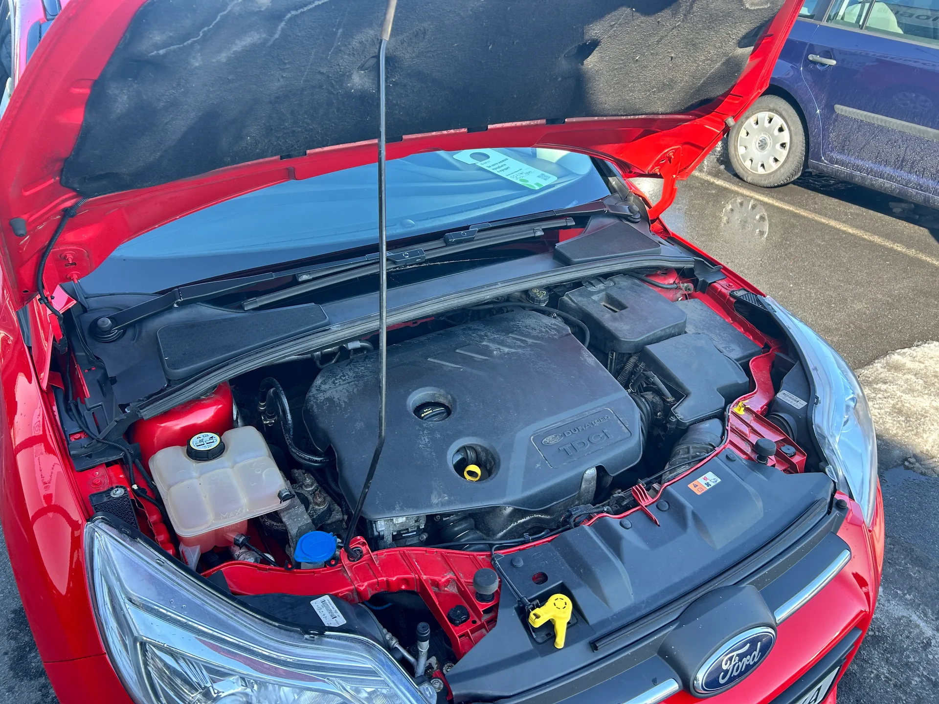 Ford Focus — фото 9