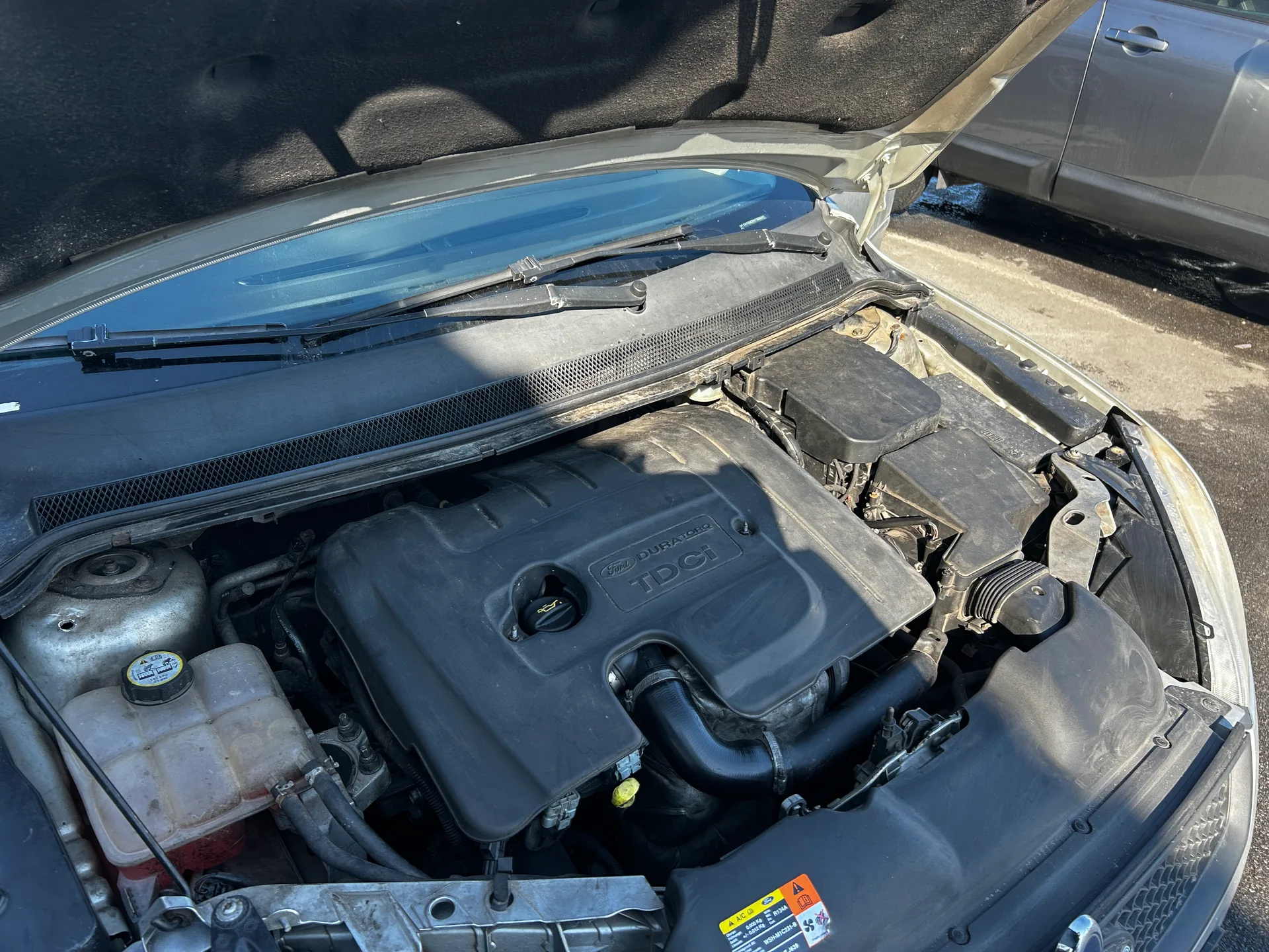 Ford Focus — фото 9