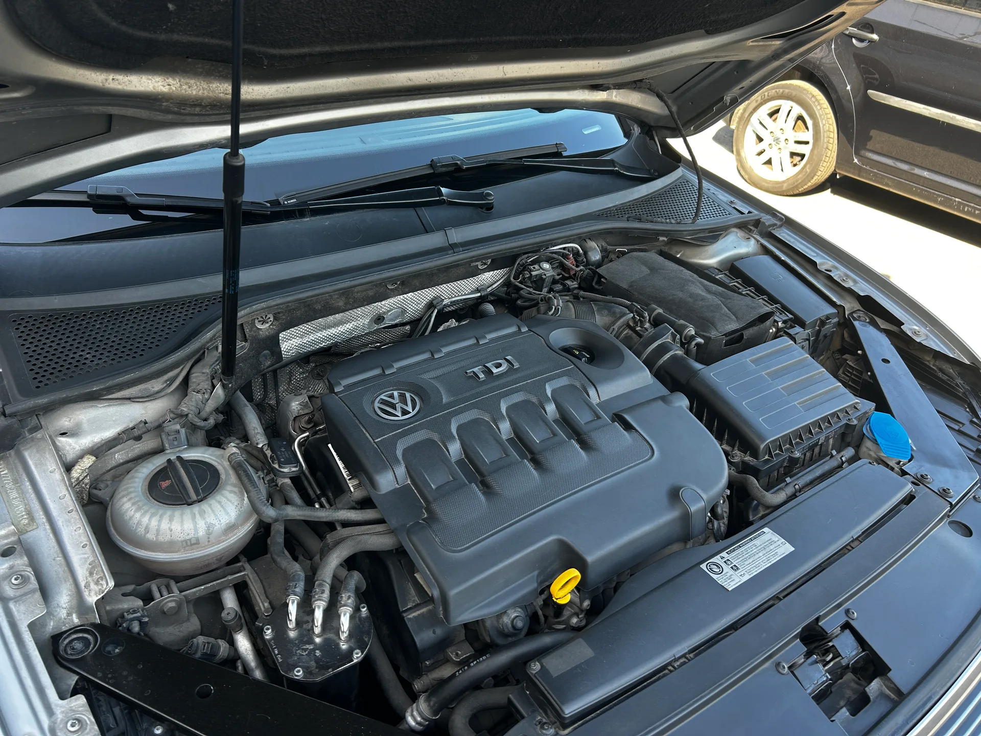 Volkswagen Passat — фото 9