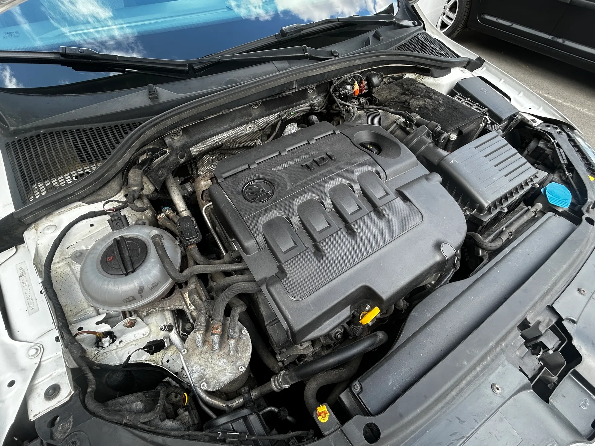 Skoda Octavia — фото 9