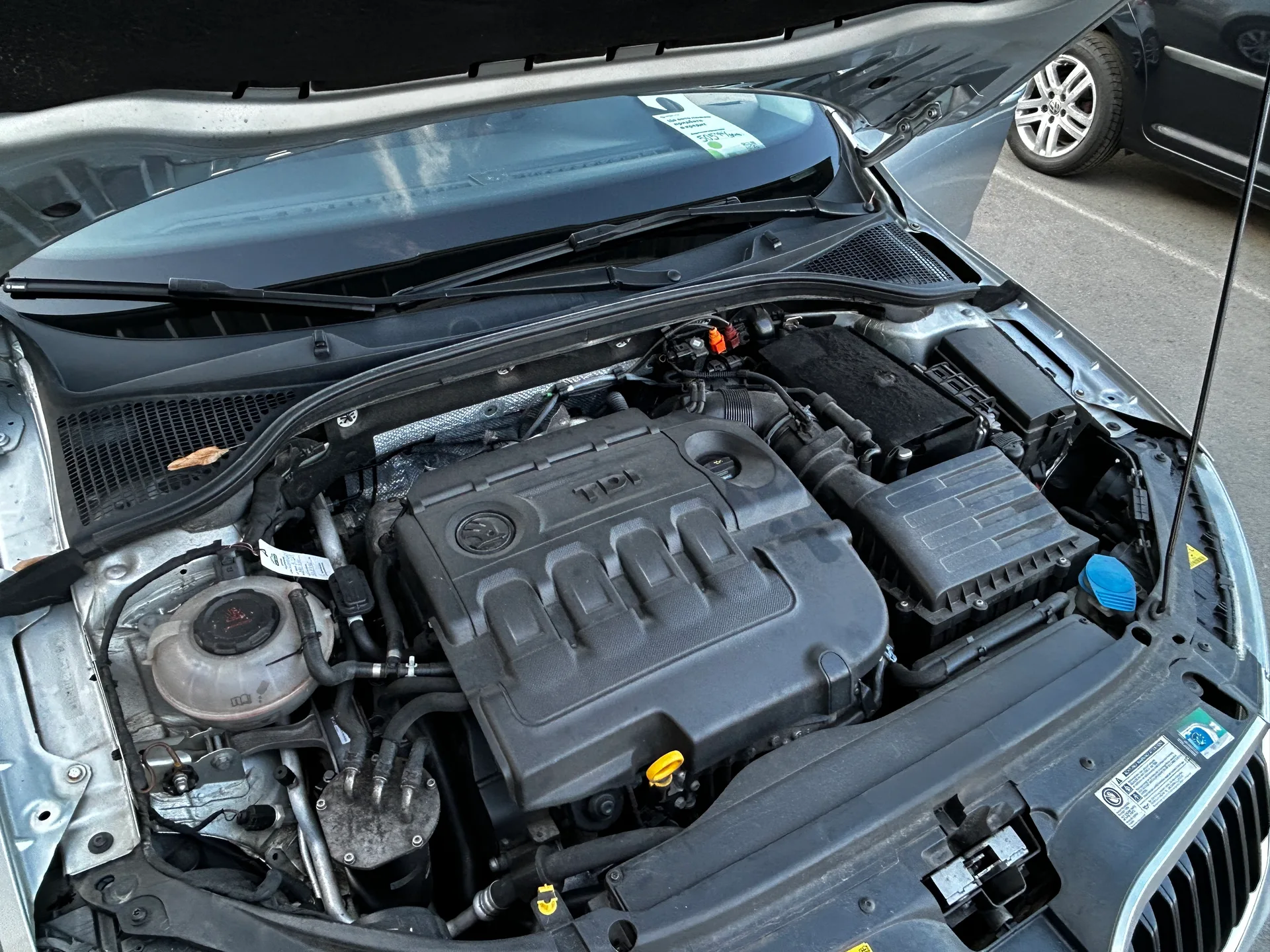 Skoda Octavia — фото 9