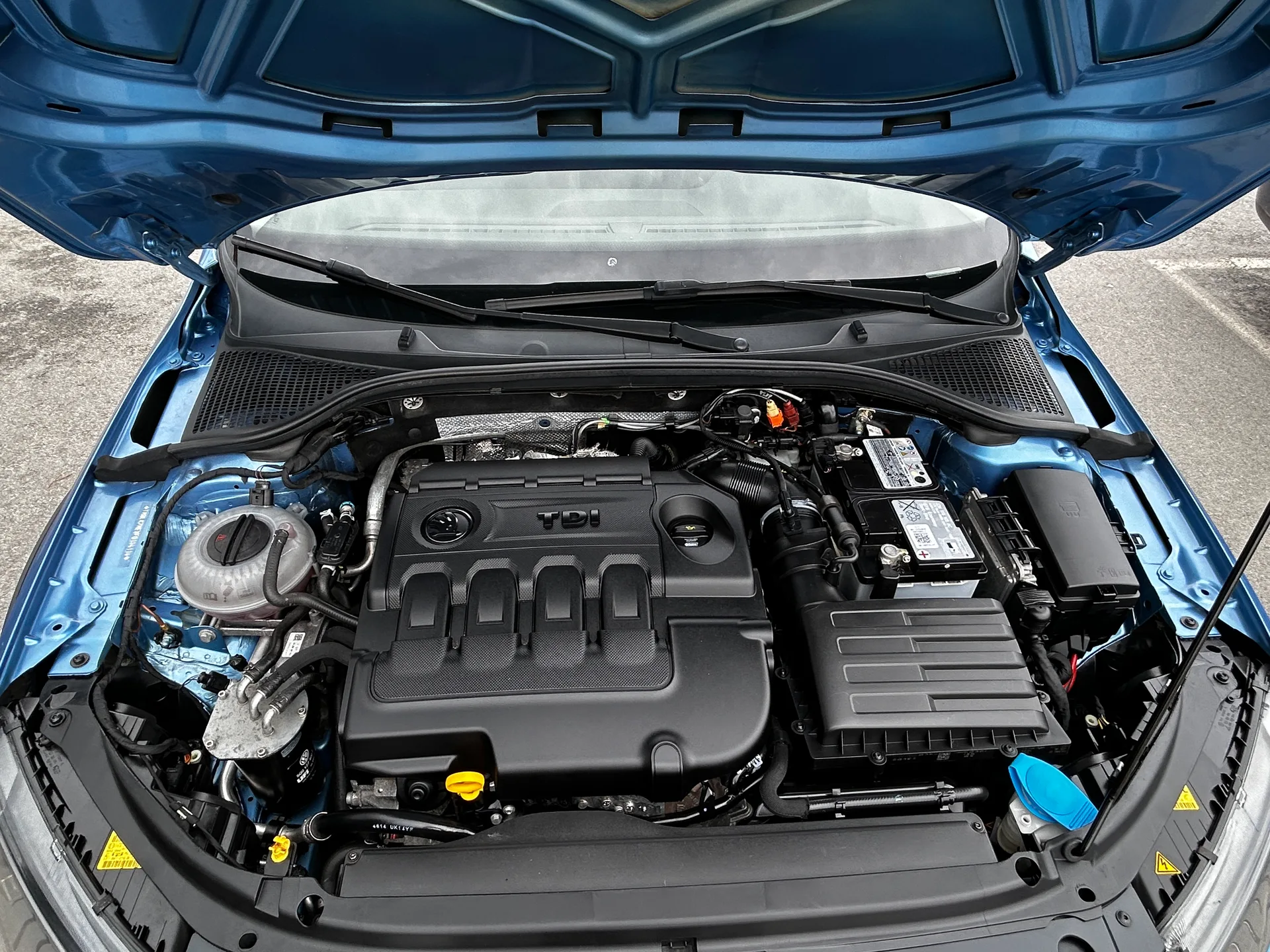 Skoda Octavia Scout — фото 9