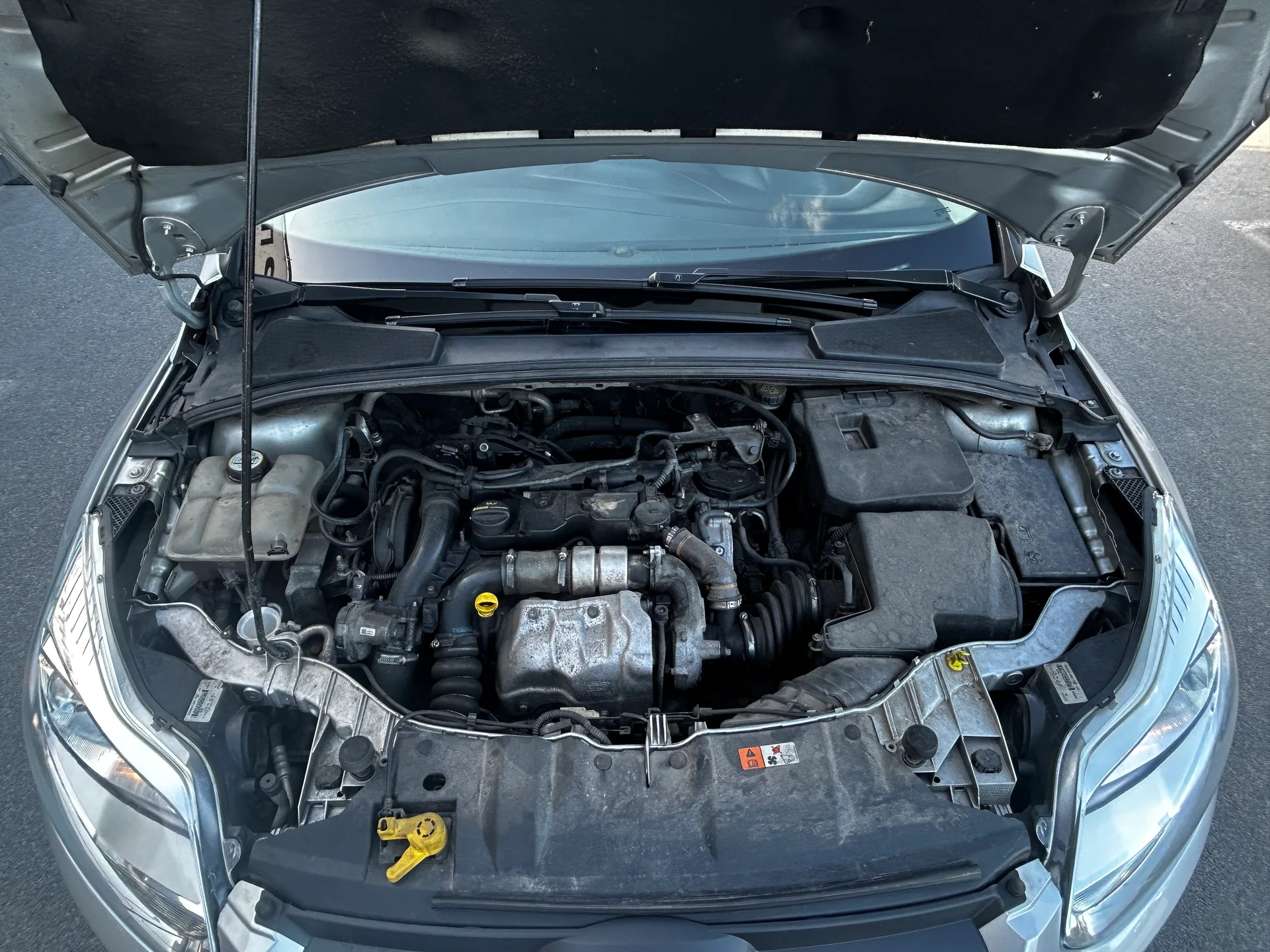 Ford Focus — фото 9