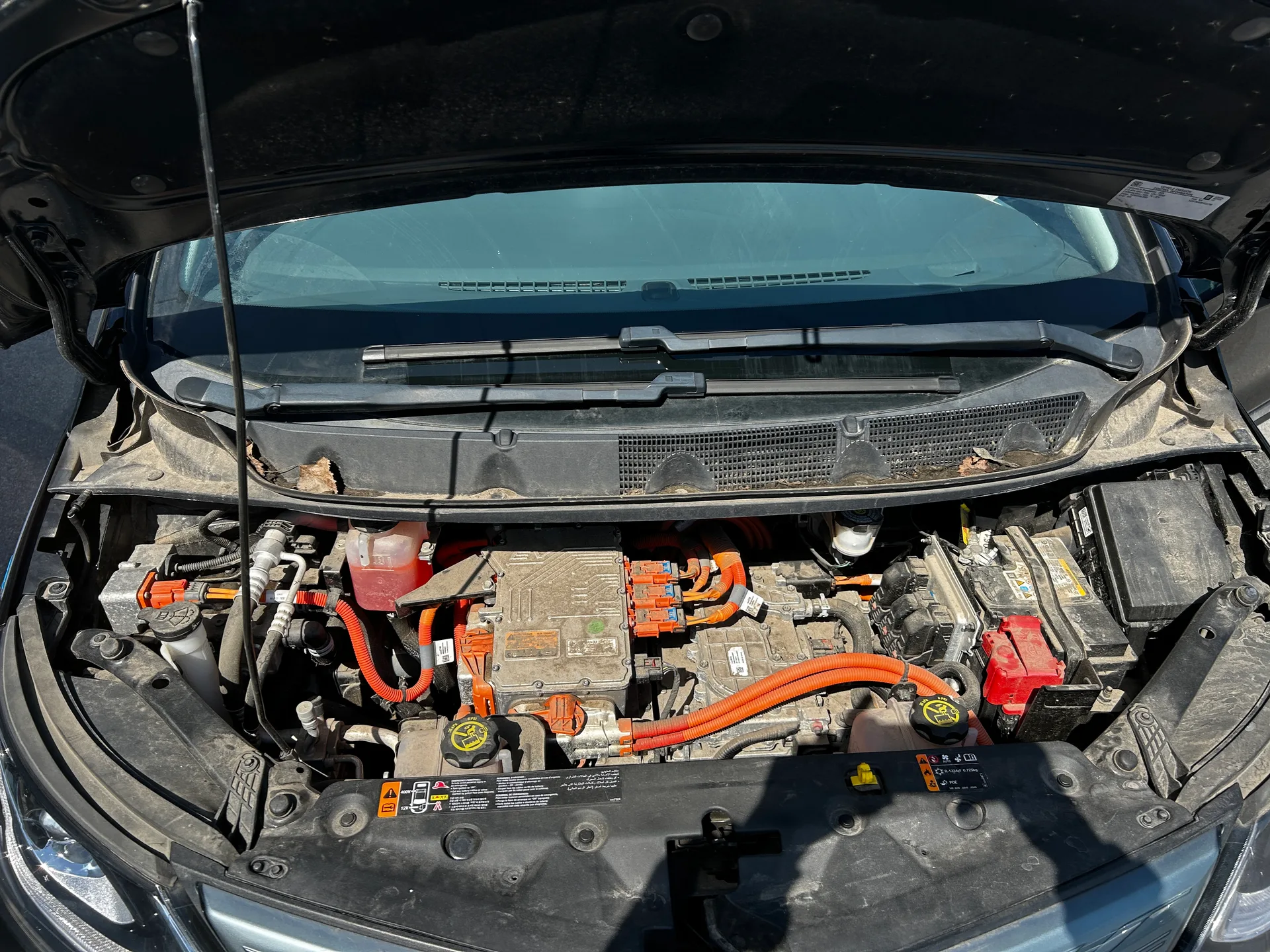 Chevrolet Bolt EV — фото 9