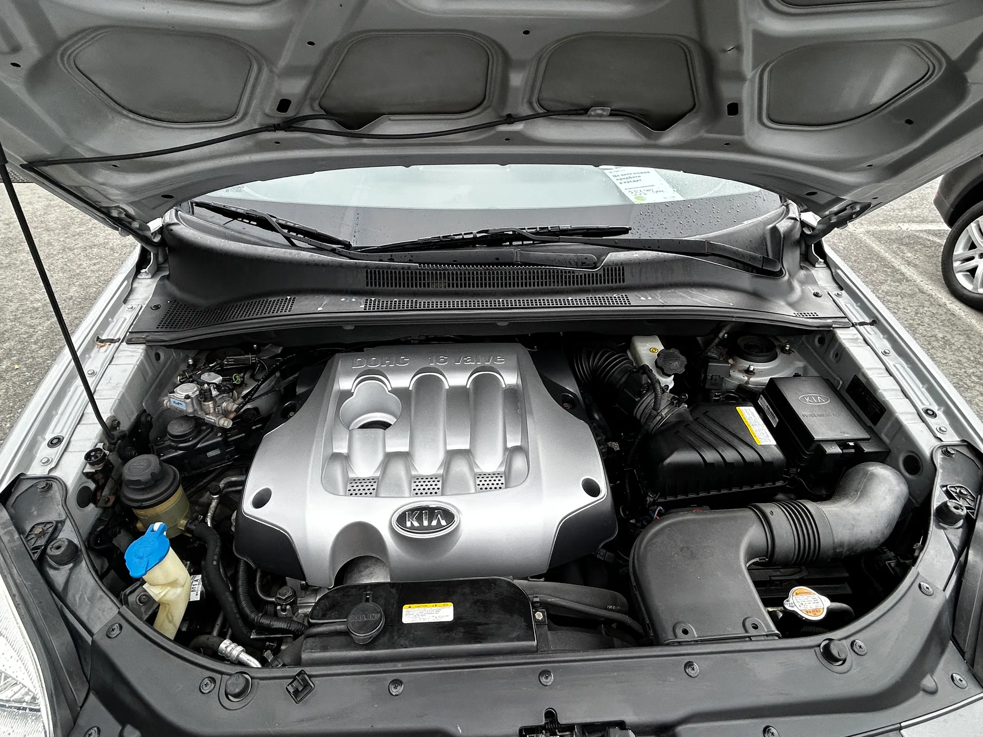 Kia Sportage — фото 9