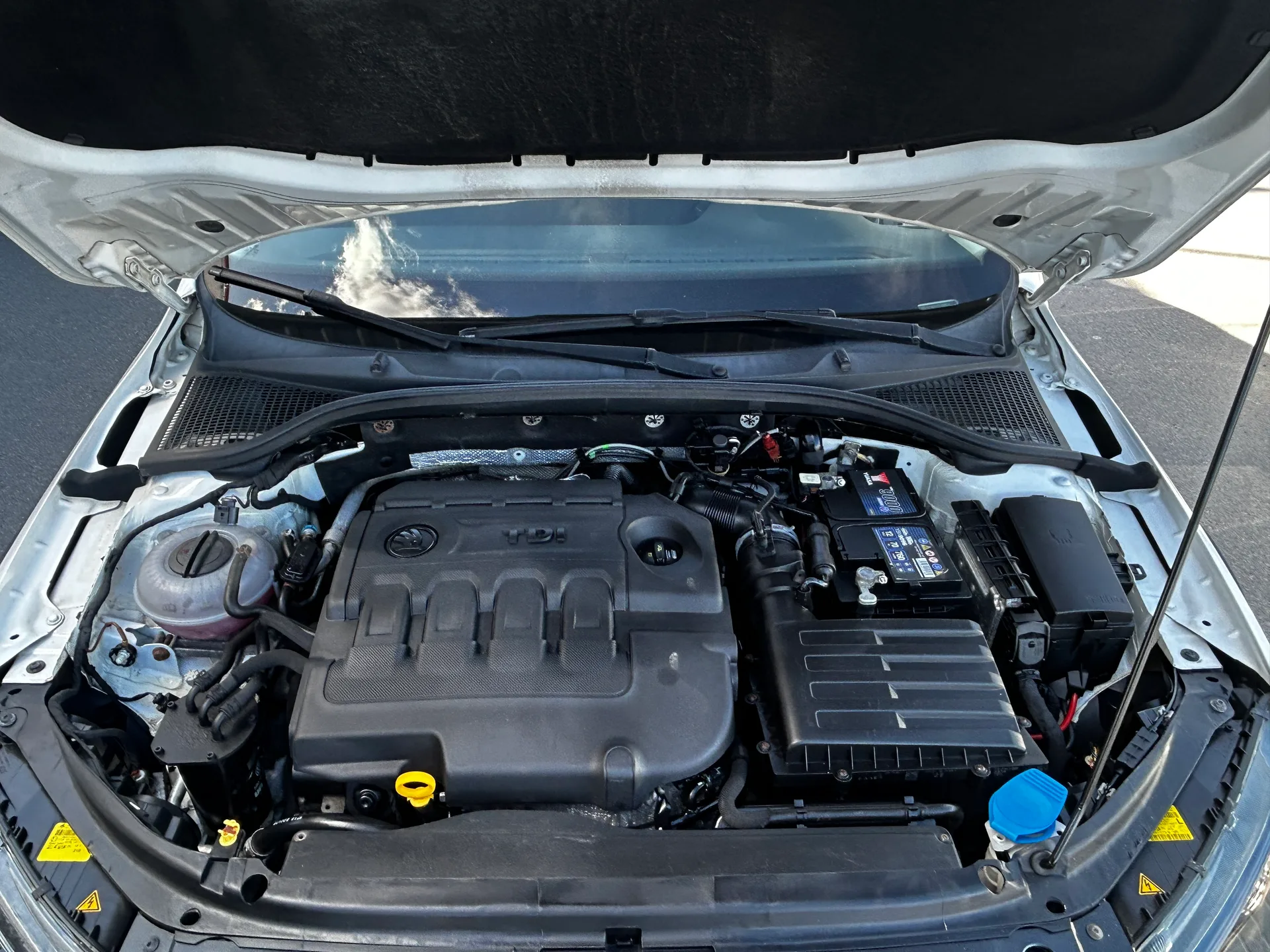 Skoda Octavia Scout — фото 9