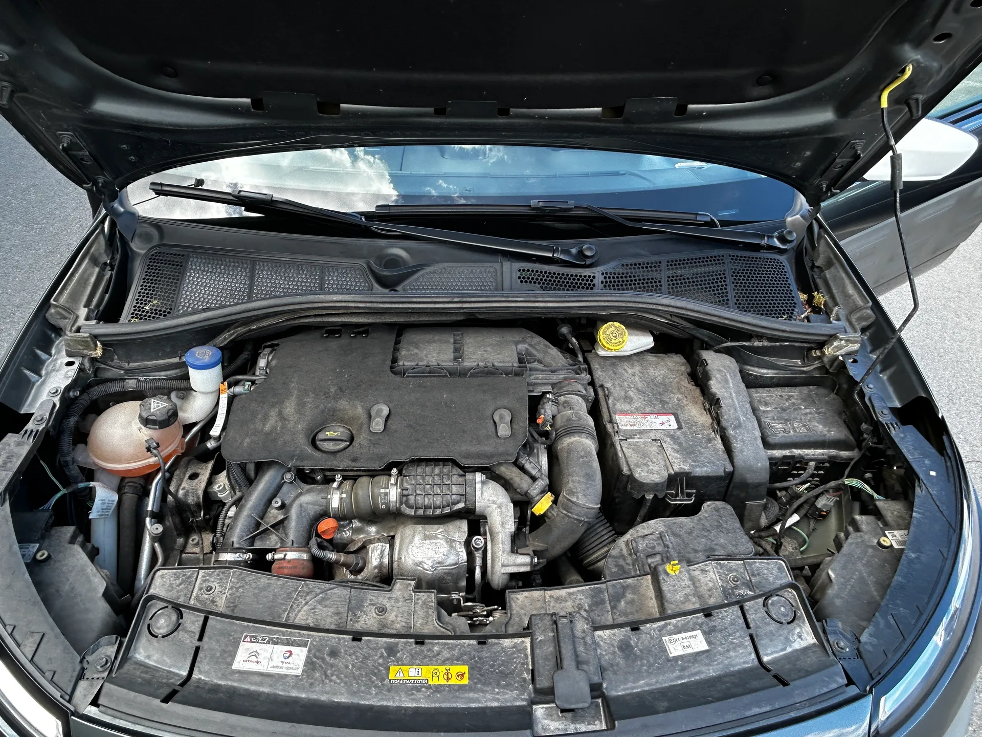 Citroen C4 Cactus — фото 9