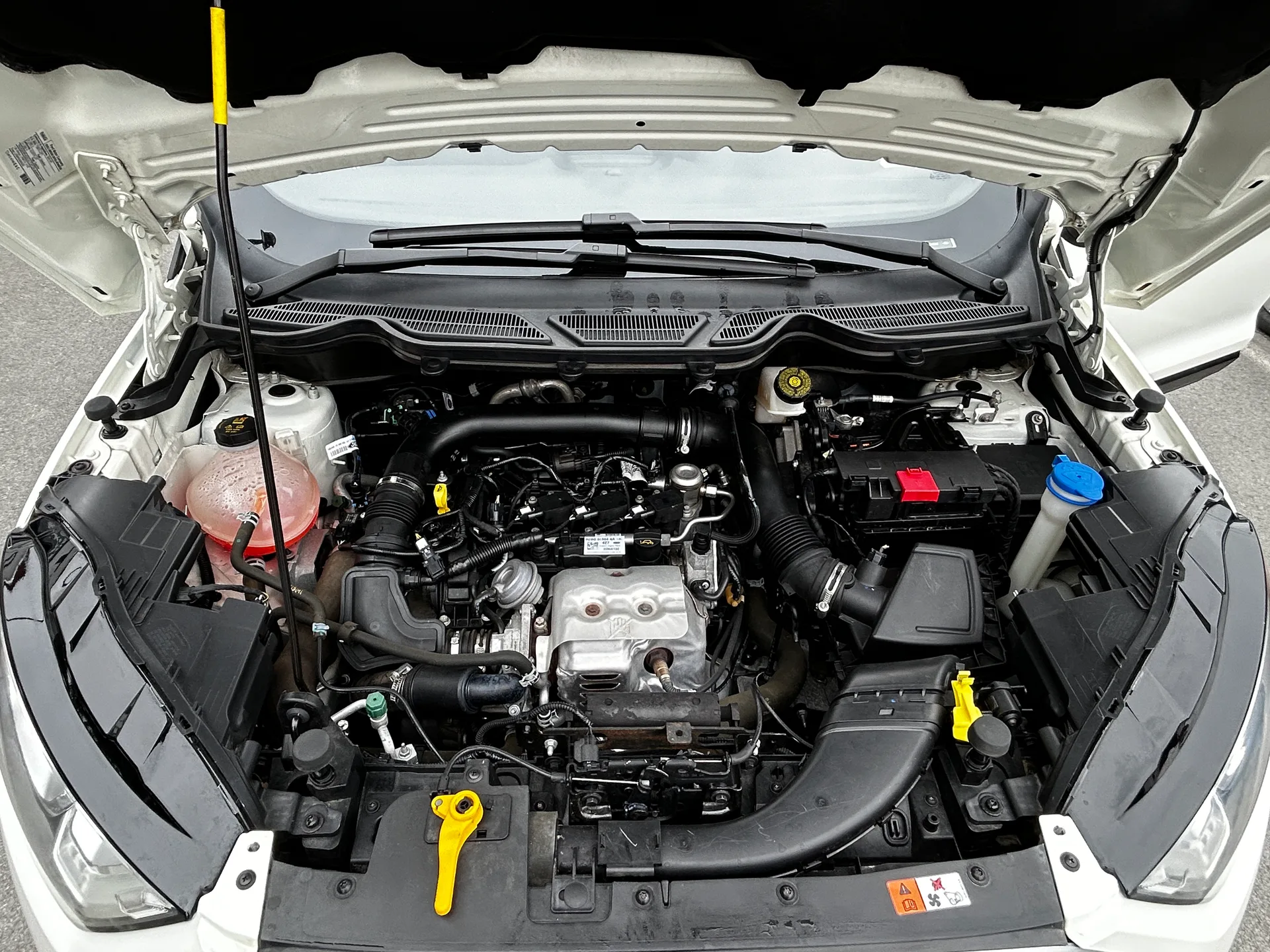 Ford EcoSport — фото 9