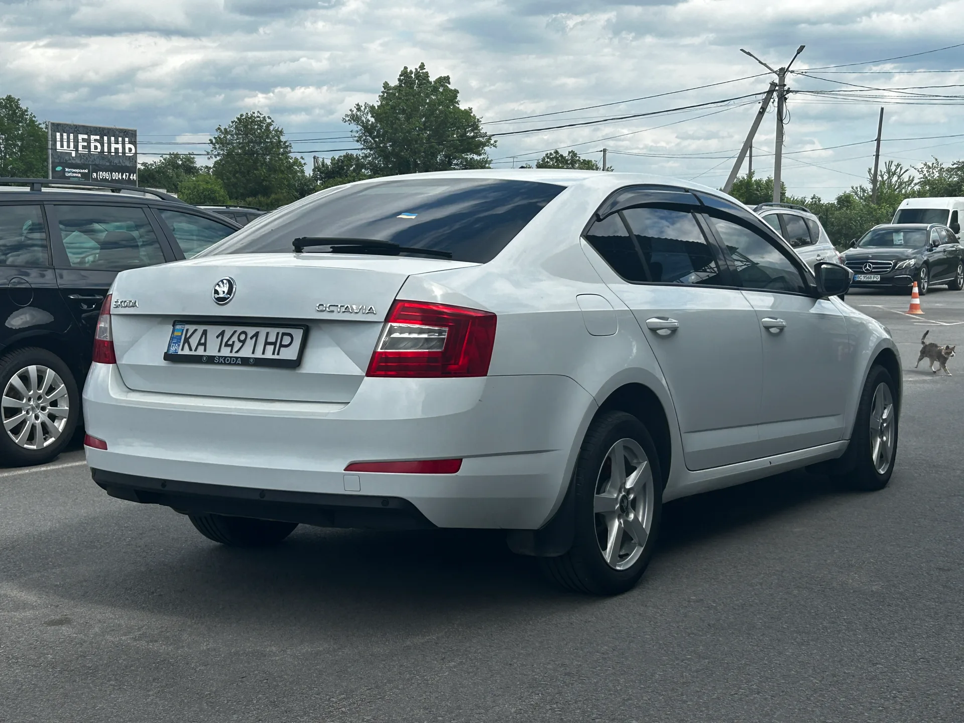 Skoda Octavia — фото 3