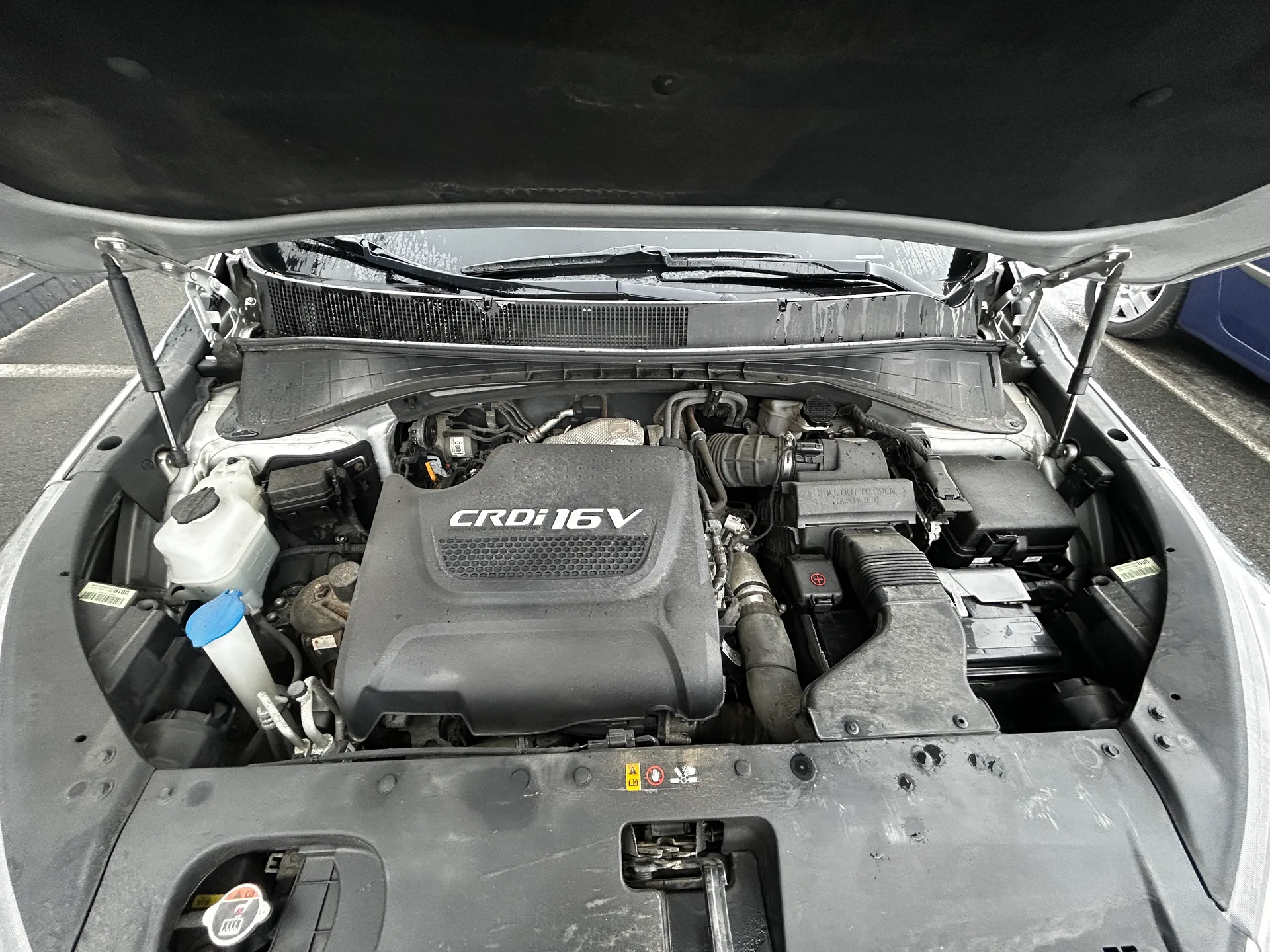 Kia Sorento — фото 9