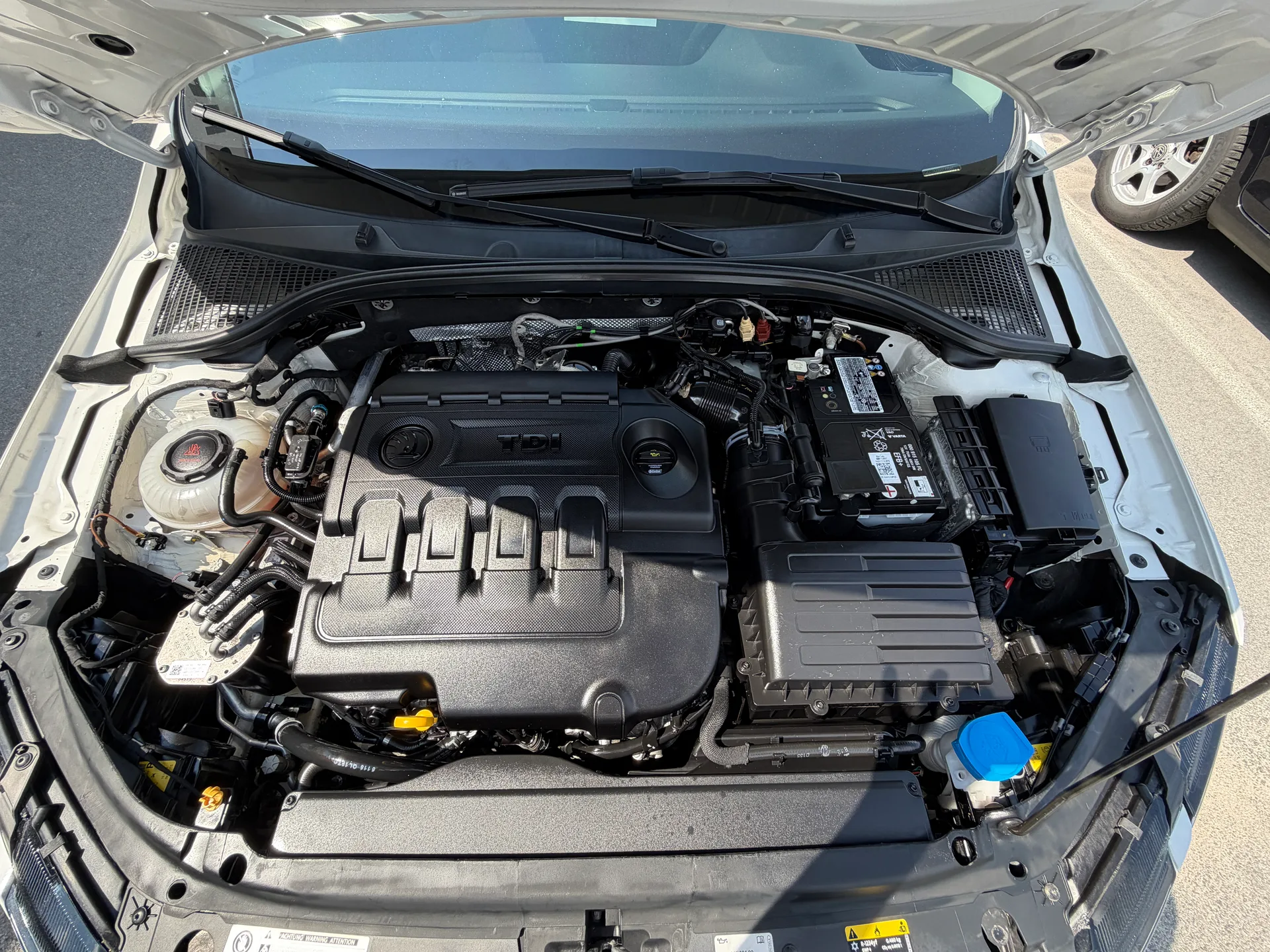Skoda Octavia — фото 10